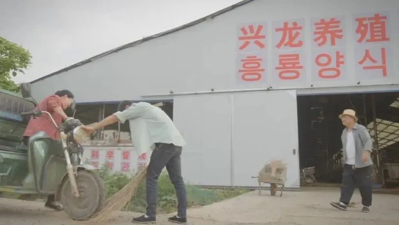 微电影丨牛棚变奏曲